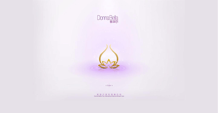 紫琪爾國(guó)際美胸機(jī)構(gòu) 網(wǎng)站建設(shè) www.shuizhela.com