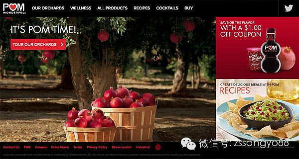 手機網站建設的注意事項！www.shuizhela.com