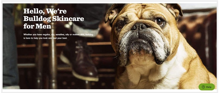 關于頁面 關于頁面