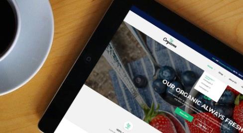 網(wǎng)站設(shè)計(jì)